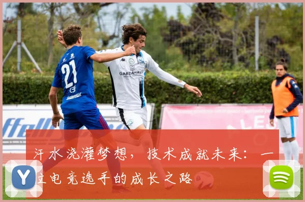 汗水浇灌梦想，技术成就未来：一位电竞选手的成长之路